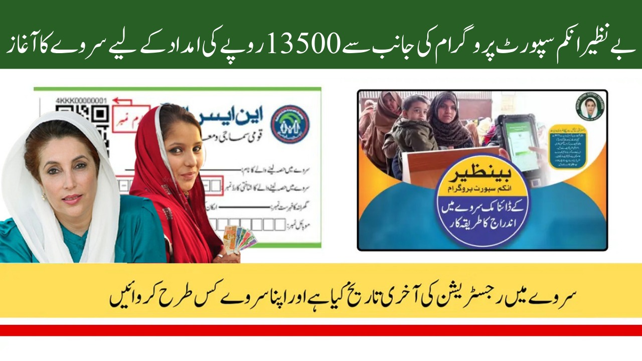 BISP 8171 Dynamic Survey 2025