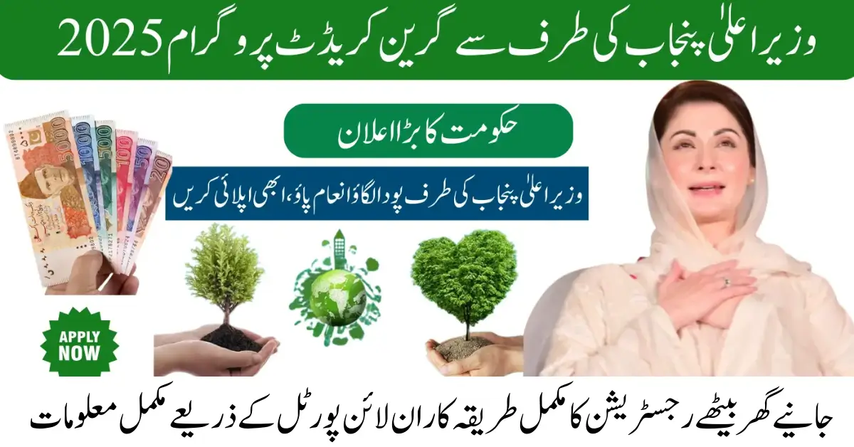 CM Punjab Green Credit Program 2025 – Earn Rewards for Going upto 1 Lakh
